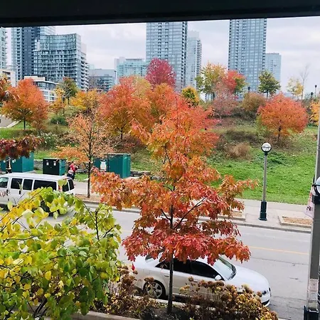 Luxe 2 Bed Suite Downtown Toronto Near Waterfront